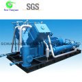 Biogas Vehicle Type Cylinder Fillng Compressor for Biogas Refueling Station